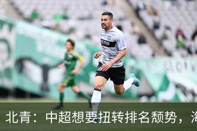 北青：中超想要扭转排名颓势，海港国安申花必须全力争取好成绩